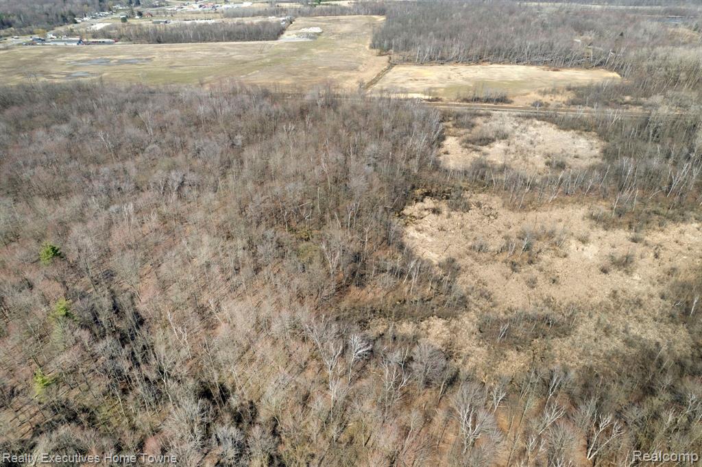 0 Griswold Road Smiths Creek, MI 48074 - Photo 5 of 7