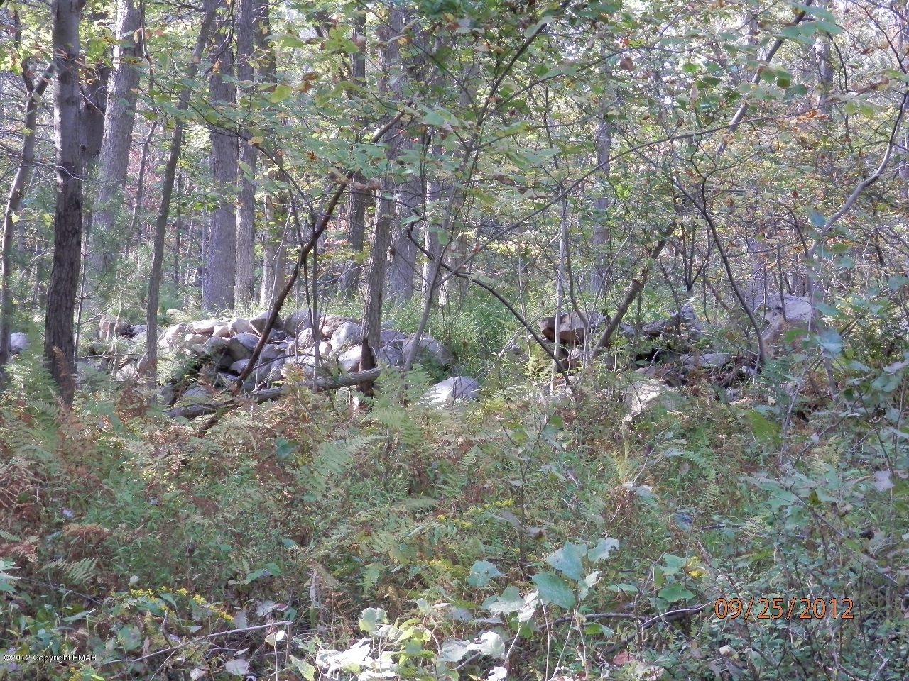 352 8th Road Kunkletown, PA 18058 - Photo 3 of 16 StoneWall1