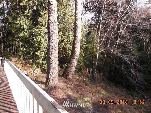 102 Kreaman Road Port Angeles, WA 98363 - Photo 4 of 12 Gallery Image 4
