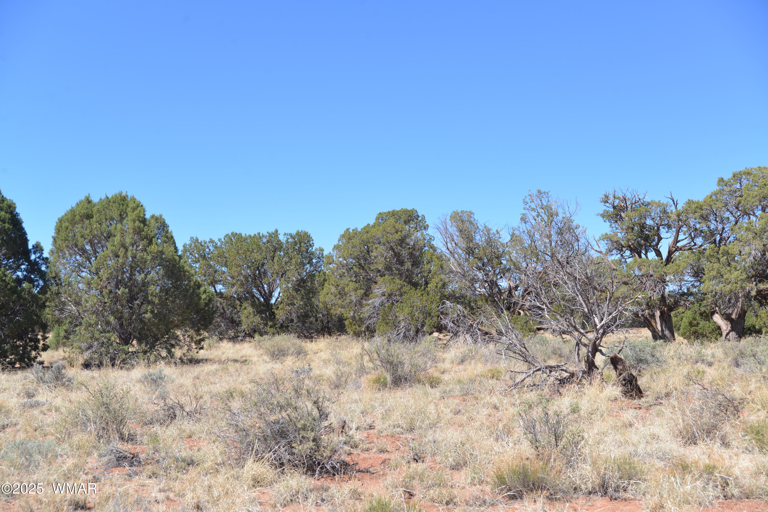 3987 Aztec Road Snowflake, AZ 85937 - Photo 2 of 4 DSC_6463