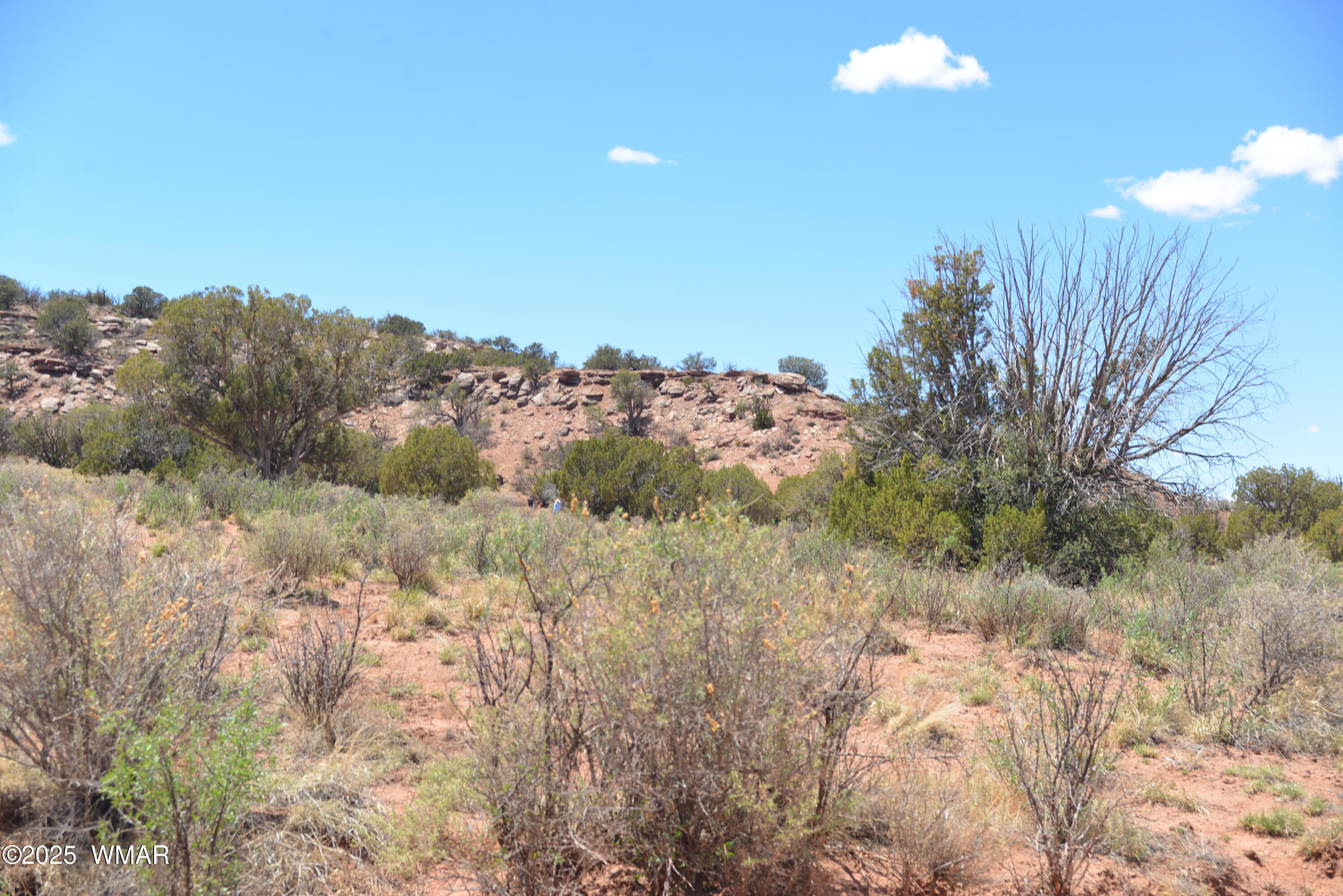 3987 Aztec Road Snowflake, AZ 85937 - Photo 4 of 4 DSC_6450