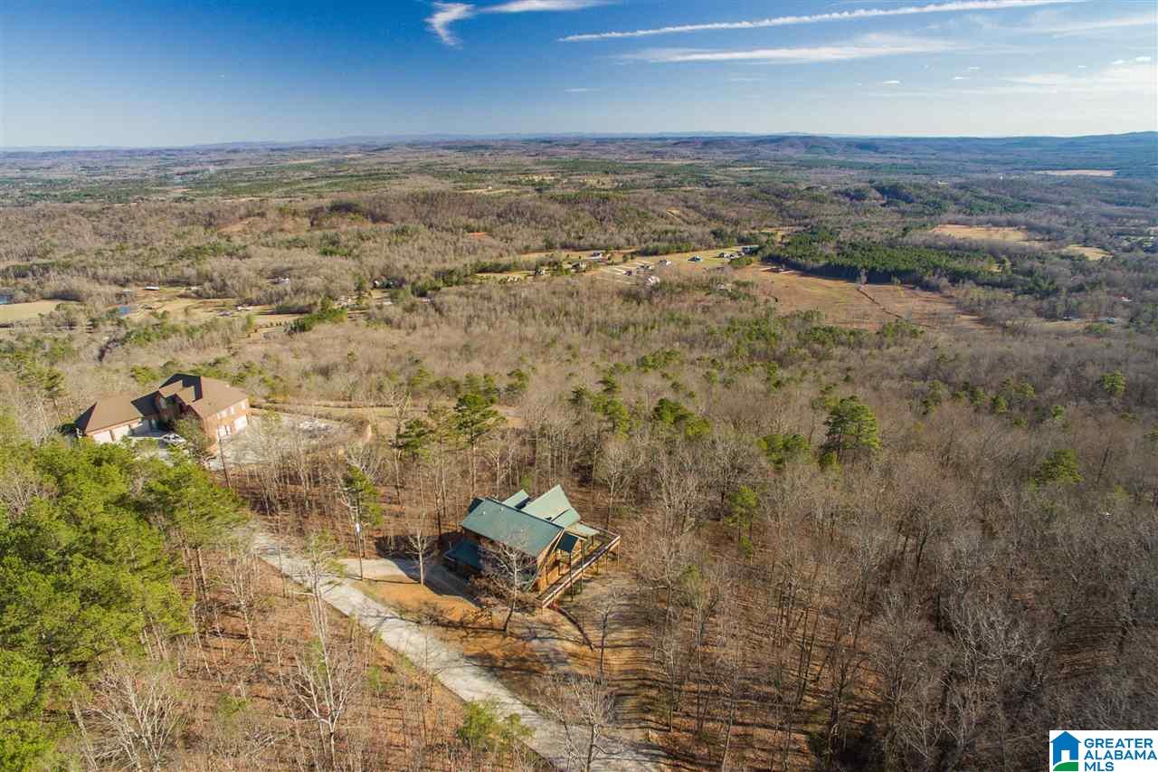 114 Scenic Peak Road Springville, AL 35146 - Photo 46 of 48
