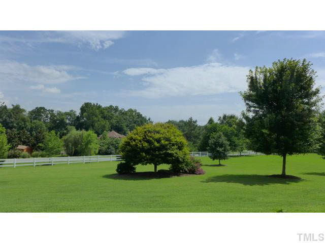 6705 Green Rise Road Hillsborough, NC 27278 - Photo 21 of 24 a black and white photo of a park