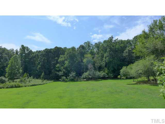 6705 Green Rise Road Hillsborough, NC 27278 - Photo 22 of 24 a black and white photo of a park