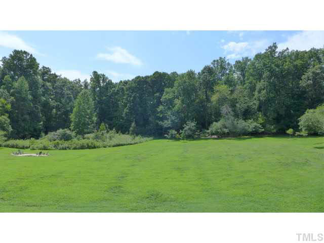 6705 Green Rise Road Hillsborough, NC 27278 - Photo 23 of 24 a black and white photo of a park