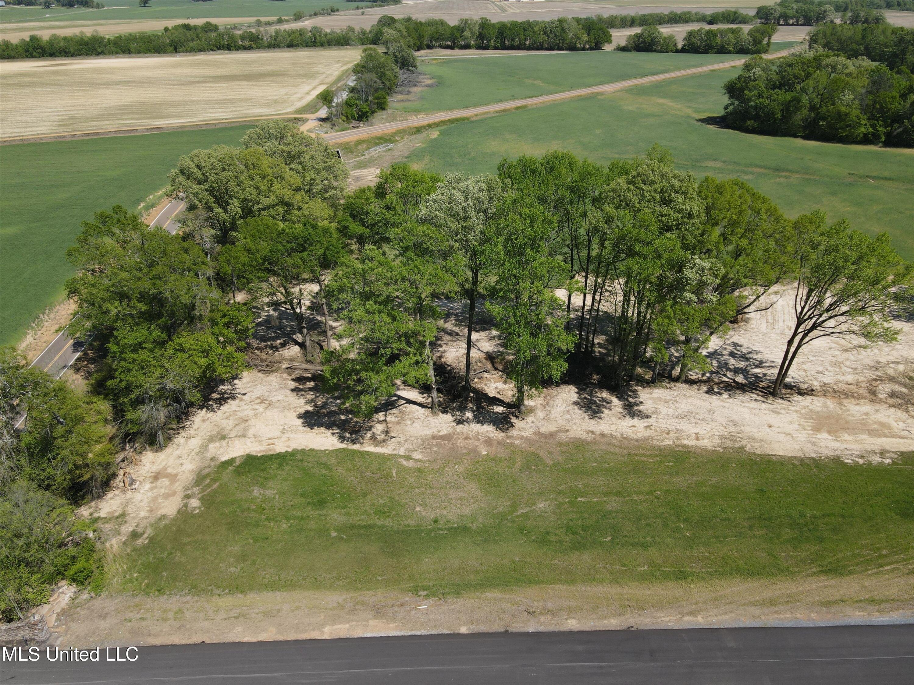 13 Como Trace Drive Senatobia, MS 38668 - Photo 3 of 7 06-DJI_0063