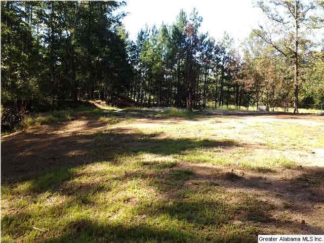 200 Collins Road Wilsonville, AL 35186 - Photo 25 of 25