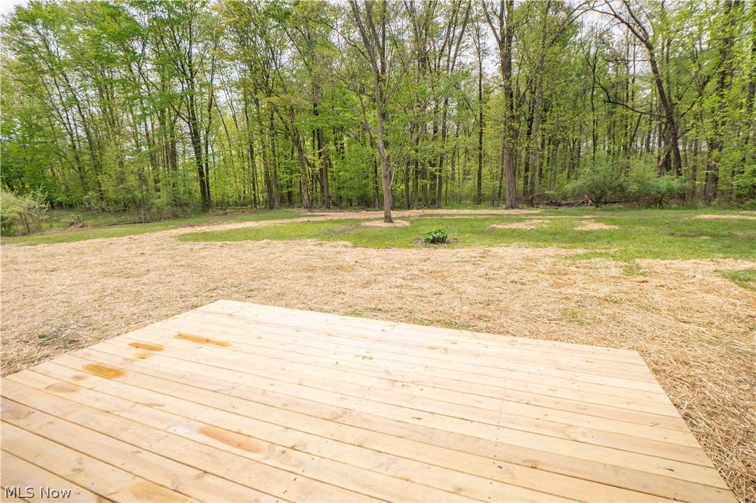 7148 Chatham Road Medina, OH 44256 - Photo 44 of 48
