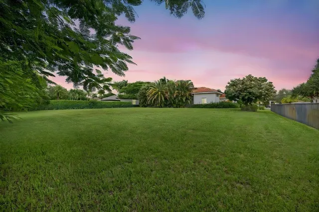 a view of a field with a tree in the background