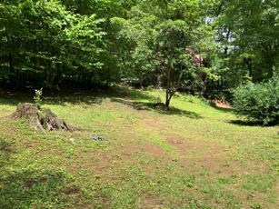 1275 Taylor Road Hiawassee, GA 30546 - Photo 26 of 56 Gallery Image 26