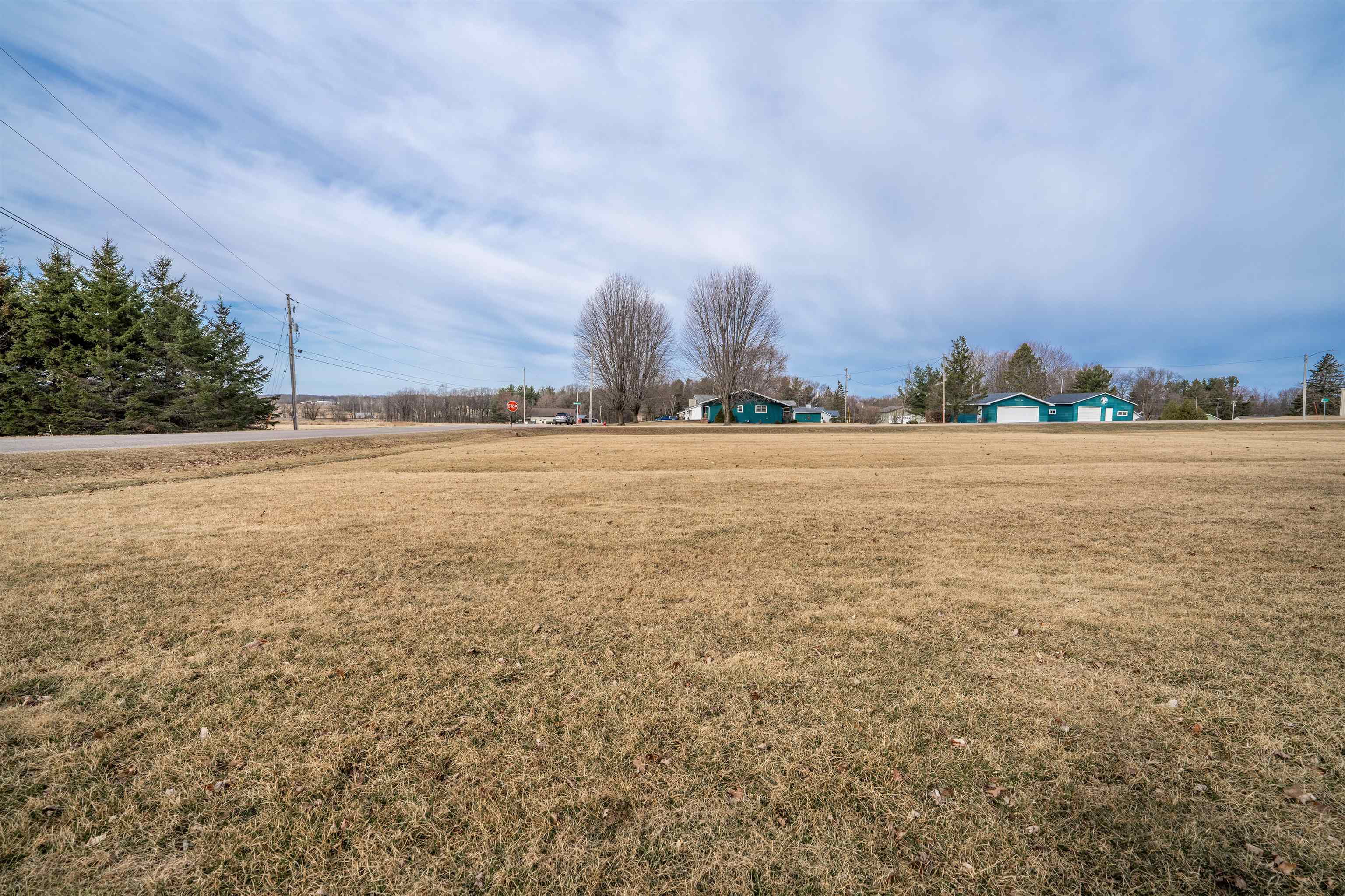 Lot On Lot On 2nd Street, Unit HARTJES AVENUE Rudolph, WI 54475 - Photo 5 of 11