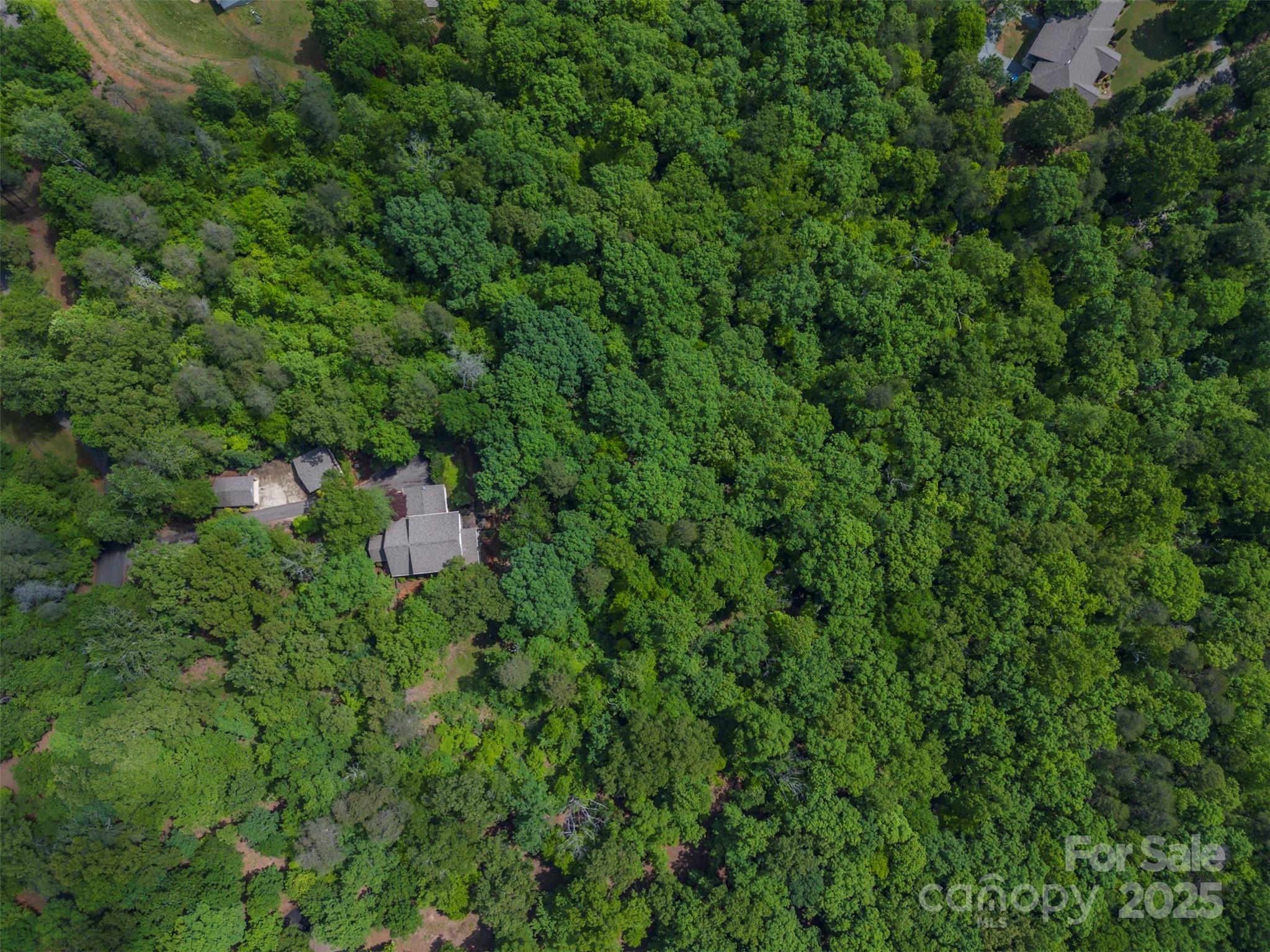 768 White Oak Lane Tryon, NC 28782 - Photo 46 of 48 a aerial view of a house with a lush green forest