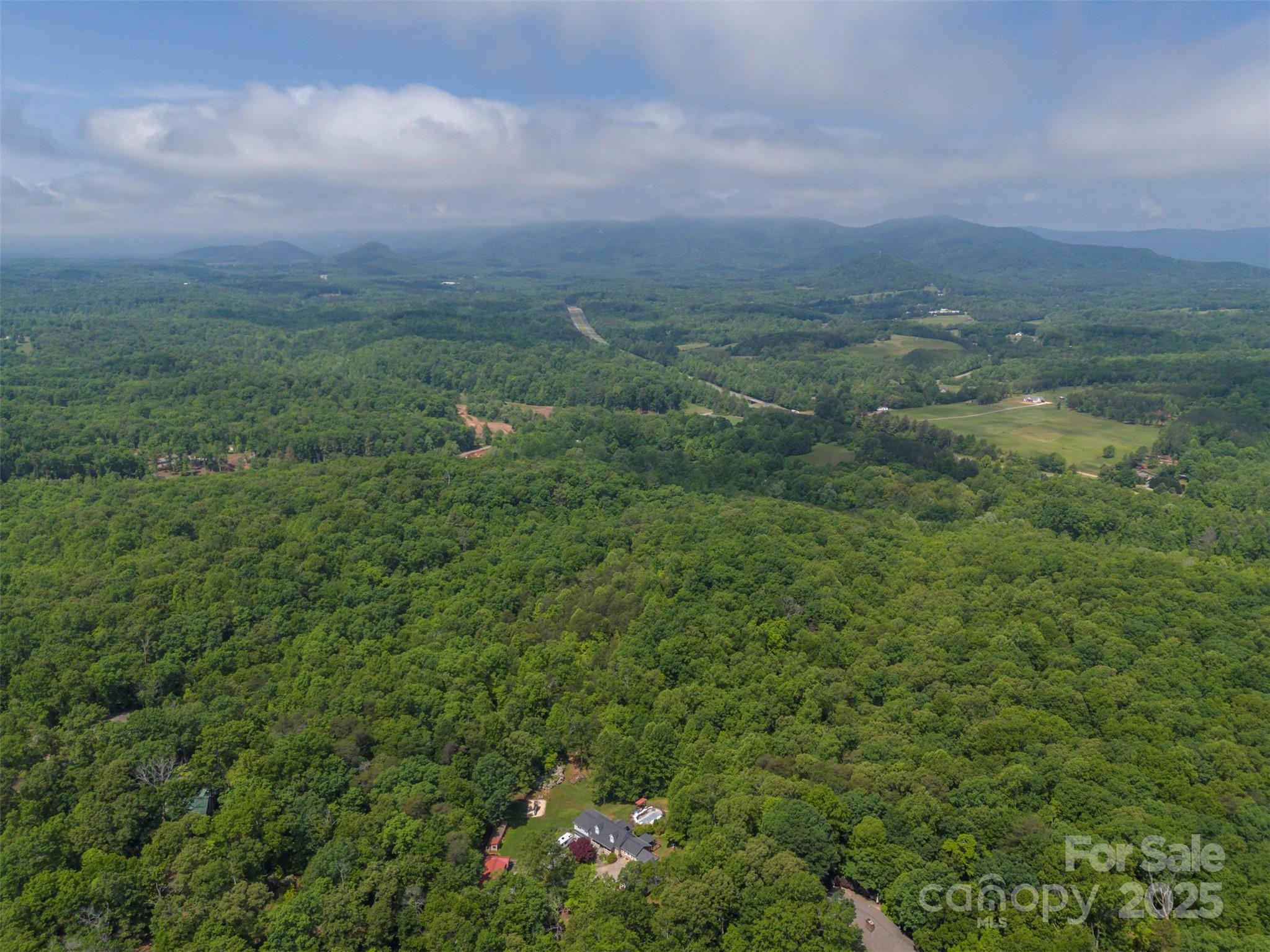 768 White Oak Lane Tryon, NC 28782 - Photo 47 of 48 a view of a field of grass and trees