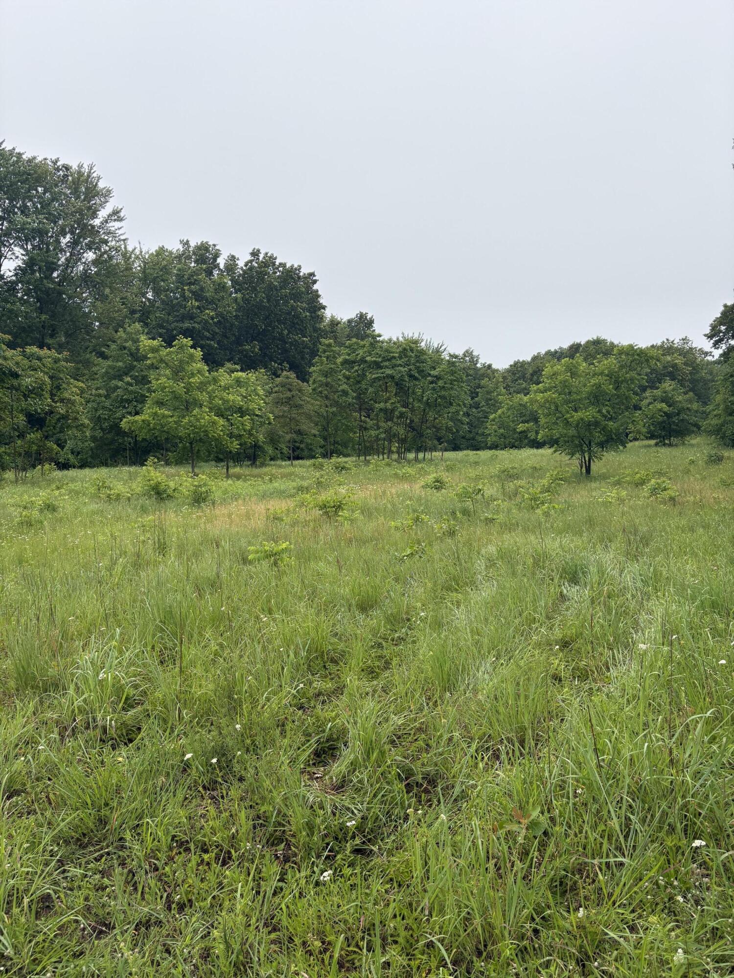 69704 Garver Lake Road Edwardsburg, MI 49112 - Photo 5 of 7 IMG_2900