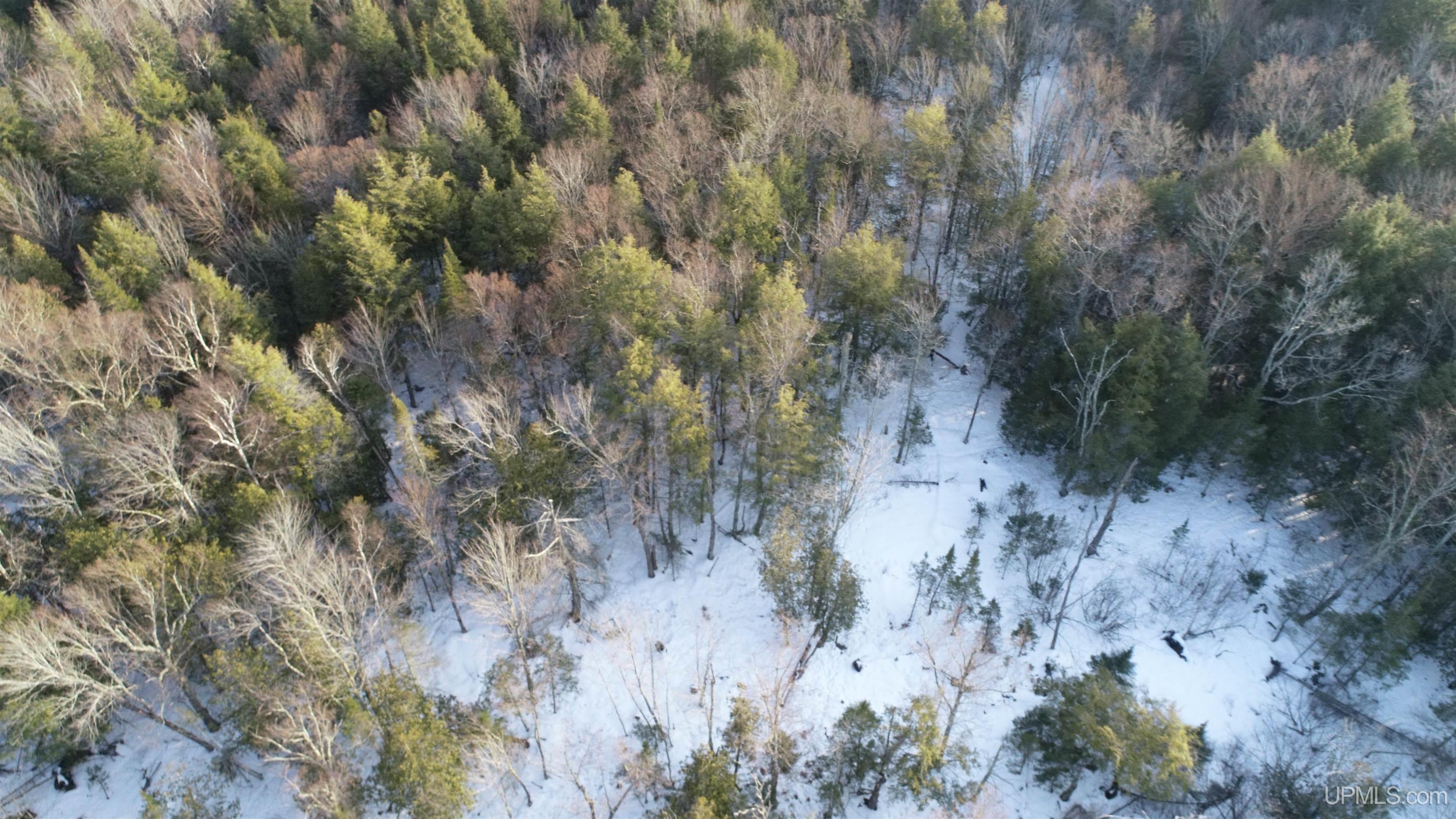 Tbd McDonald Lk Road Gulliver, MI 49840 - Photo 5 of 16