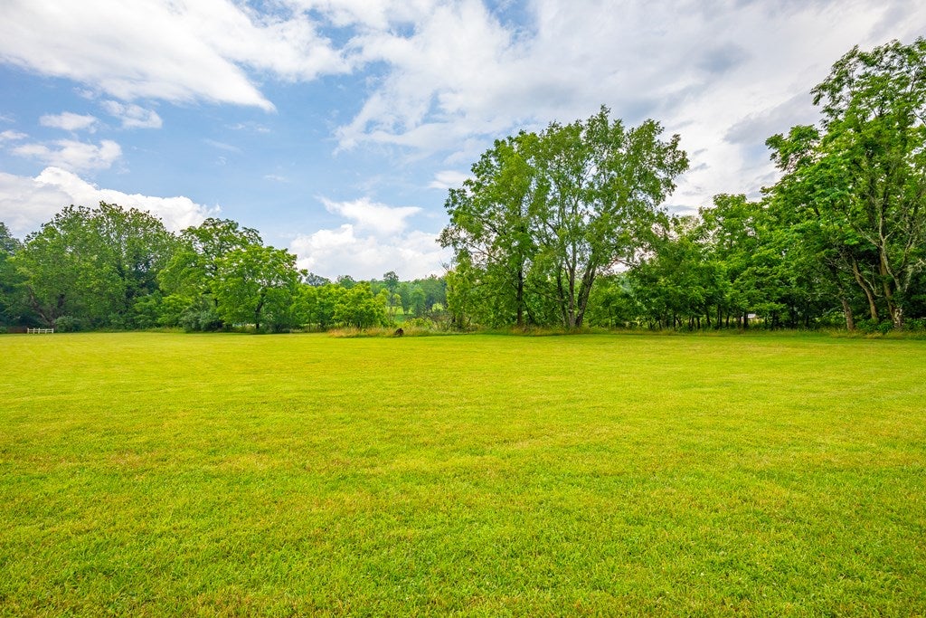 127 Trout Farm Road Rural Retreat, VA 24368 - Photo 45 of 88 Gallery Image 45