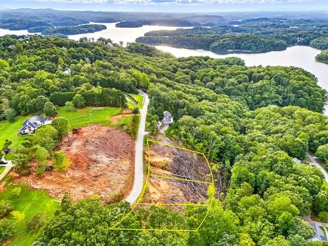a view of a yard with plants