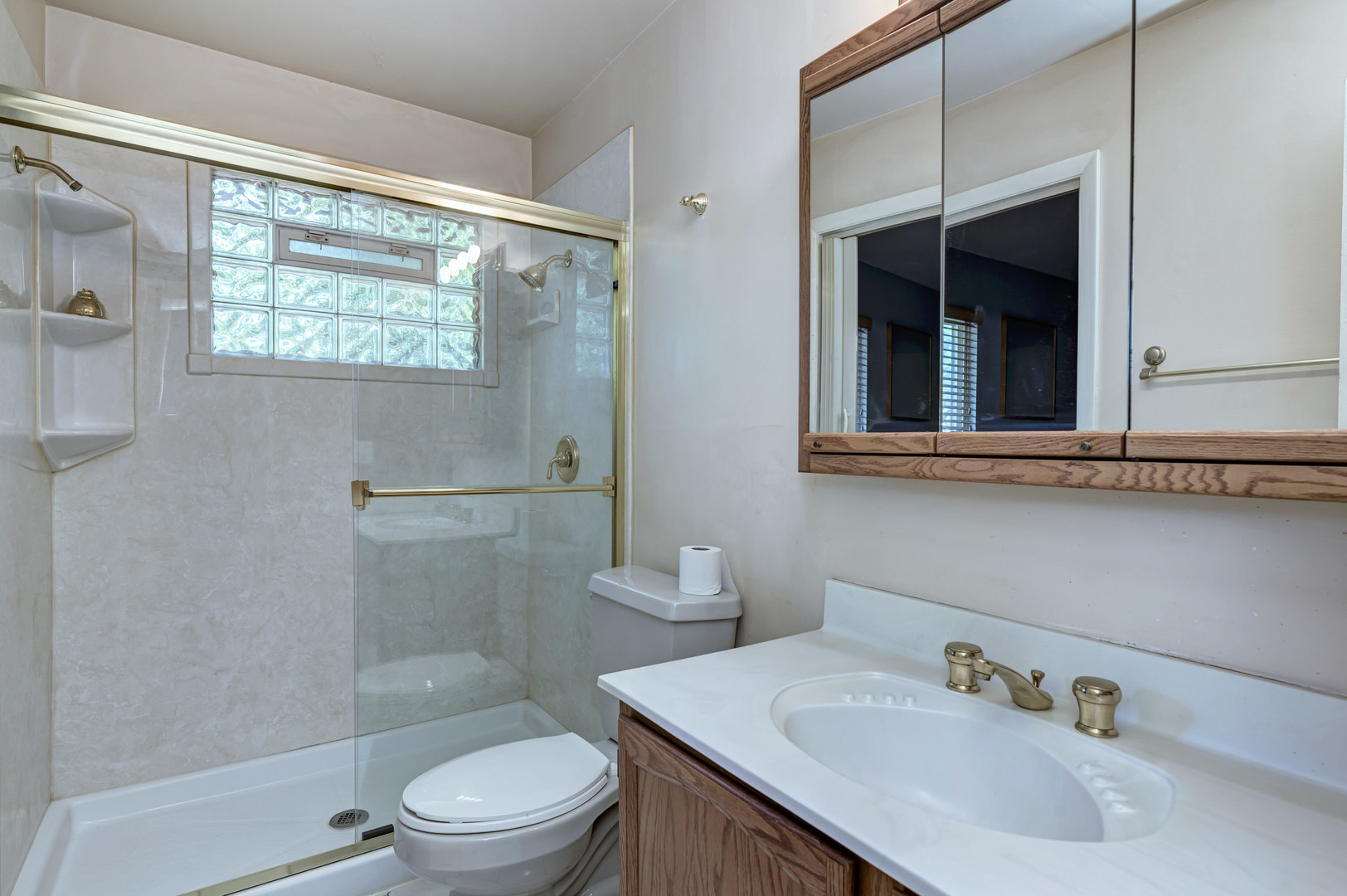 234 Bedford Road Bolingbrook, IL 60440 - Photo 16 of 29