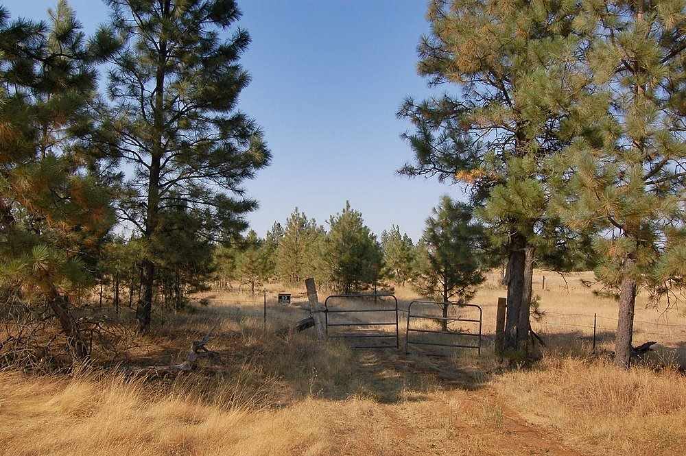 18200 West Sterling Road Cheney, WA 99004 - Photo 1 of 20
