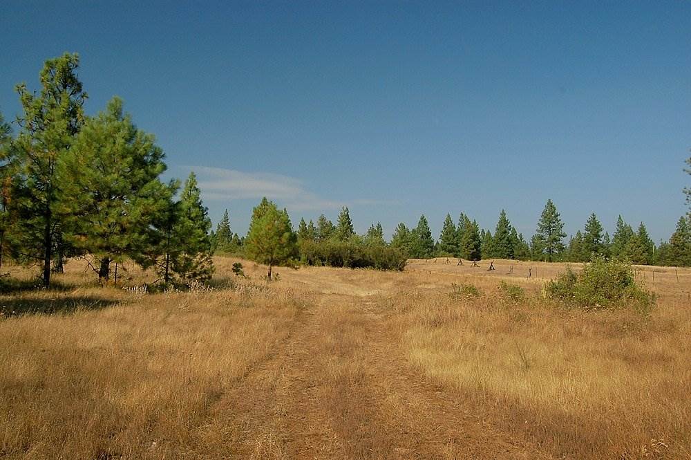 18200 West Sterling Road Cheney, WA 99004 - Photo 2 of 20
