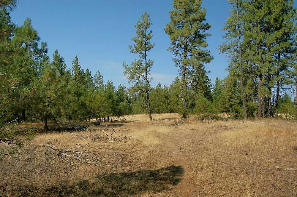 18200 West Sterling Road Cheney, WA 99004 - Photo 11 of 20