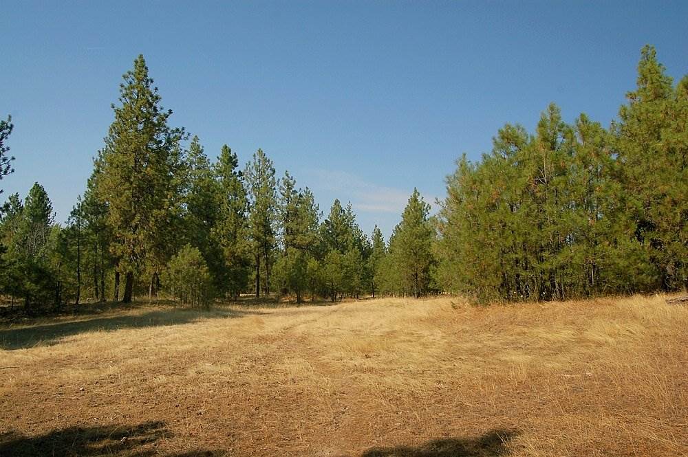 18200 West Sterling Road Cheney, WA 99004 - Photo 13 of 20