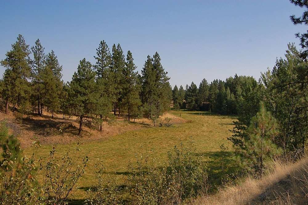 18200 West Sterling Road Cheney, WA 99004 - Photo 14 of 20