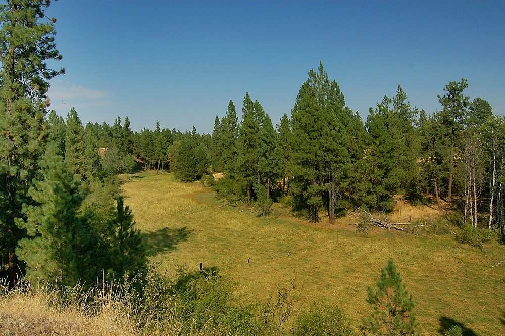 18200 West Sterling Road Cheney, WA 99004 - Photo 16 of 20