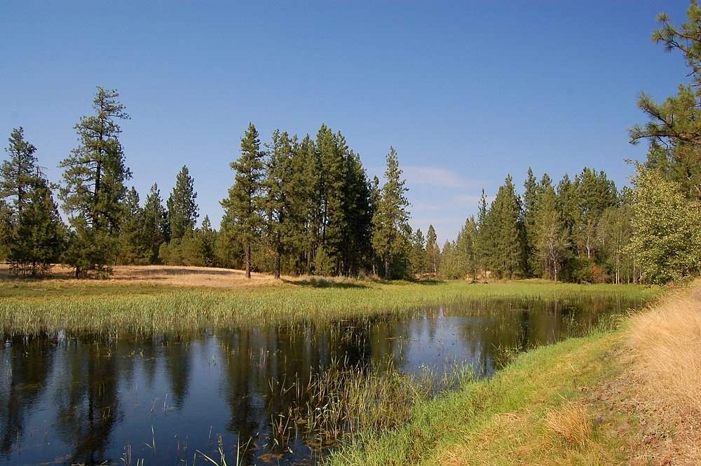 18200 West Sterling Road Cheney, WA 99004 - Photo 18 of 20