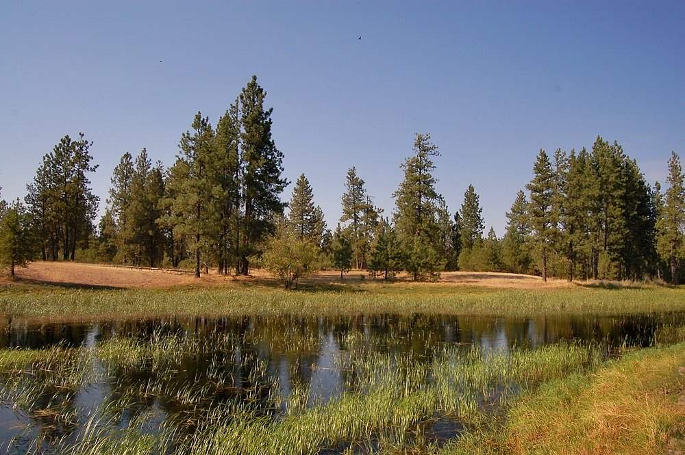 18200 West Sterling Road Cheney, WA 99004 - Photo 19 of 20