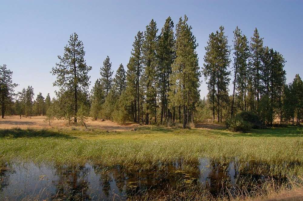 18200 West Sterling Road Cheney, WA 99004 - Photo 20 of 20