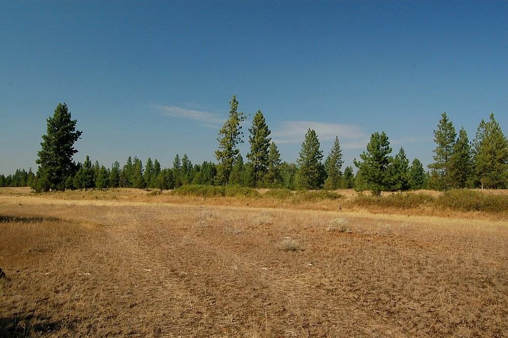 18200 West Sterling Road Cheney, WA 99004 - Photo 3 of 20