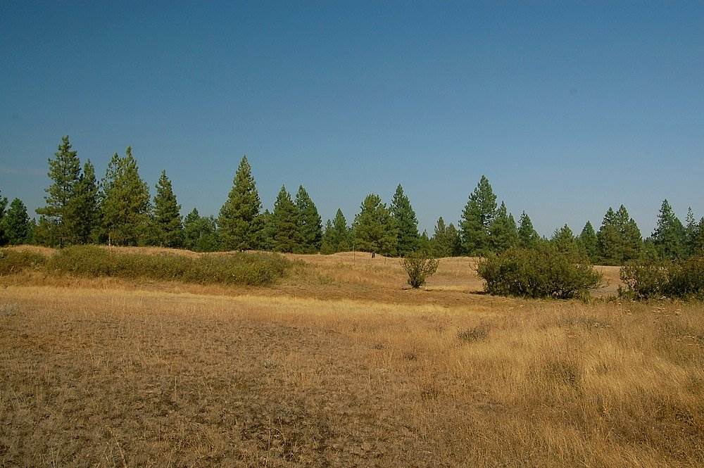 18200 West Sterling Road Cheney, WA 99004 - Photo 4 of 20