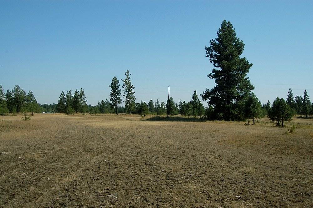18200 West Sterling Road Cheney, WA 99004 - Photo 5 of 20