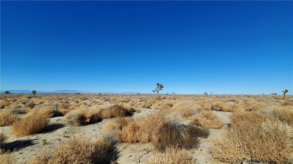 0 Vicinity Avenue Palmdale, CA 93552 - Photo 11 of 18