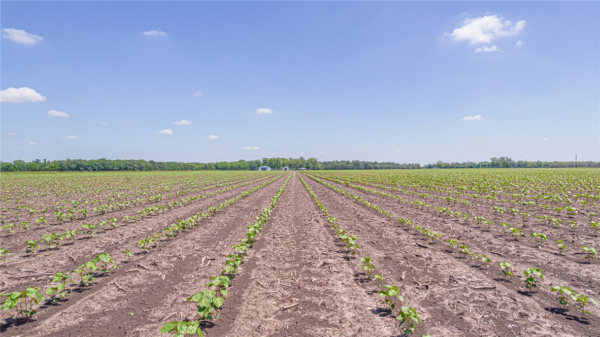 7654 County Road 121 Wharton, TX 77488 - Photo 28 of 47