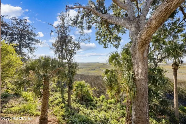 $1,525,000 | 95178 Spring Tide Lane, Fernandina Beach, FL 32034