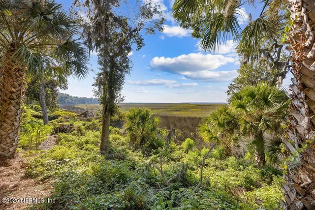 $1,525,000 | 95178 Spring Tide Lane, Fernandina Beach, FL 32034