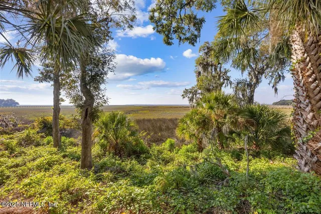 $1,525,000 | 95178 Spring Tide Lane, Fernandina Beach, FL 32034