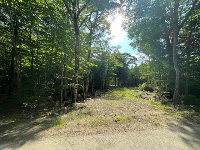 Lot 12-14 Dorr Road Wiscasset, ME 04578 - Photo 8 of 10 dorr7