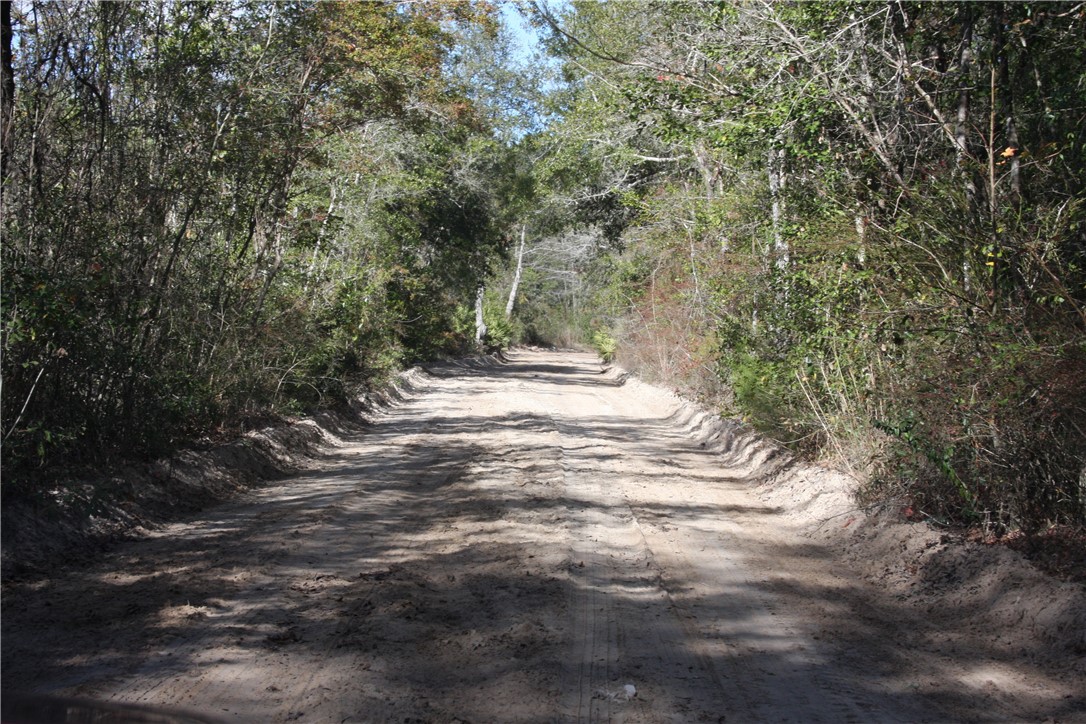 0 Joseph Wiggins/mineral Springs Road Waynesville, GA 31566 - Photo 2 of 6