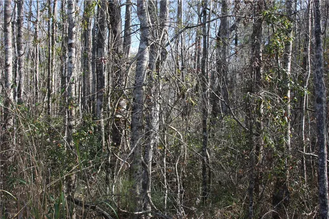 $880,000 | 0 Joseph Wiggins/mineral Springs Road, Waynesville, GA 31566