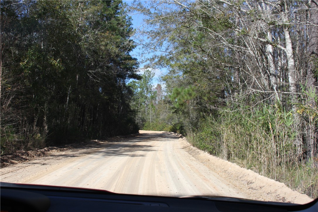 0 Joseph Wiggins/mineral Springs Road Waynesville, GA 31566 - Photo 5 of 6