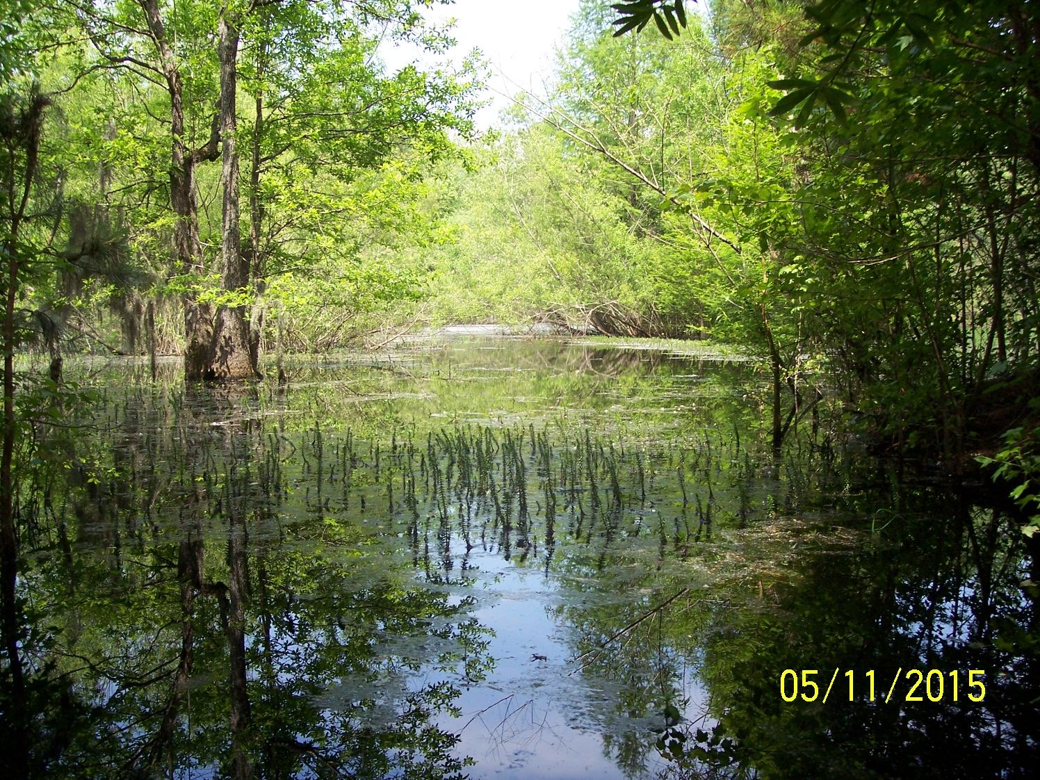 0 Verniel Road Elloree, SC 29047 - Photo 3 of 7 100_5489