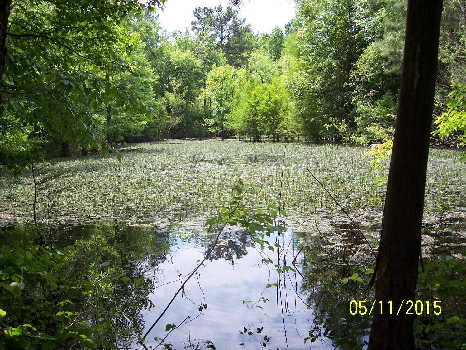 0 Verniel Road Elloree, SC 29047 - Photo 4 of 7 100_5492