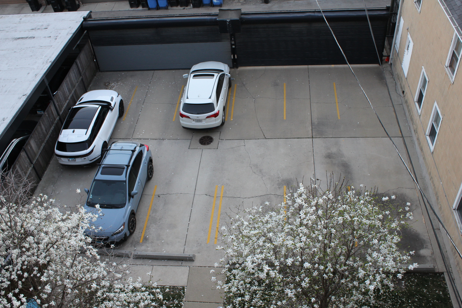 1018 South May Street, Unit B Chicago, IL 60607 - Photo 26 of 30 Gallery Image 26