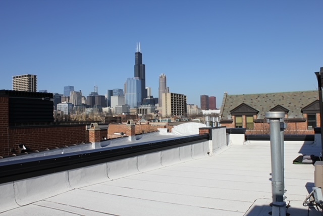 1018 South May Street, Unit B Chicago, IL 60607 - Photo 27 of 30 Gallery Image 27