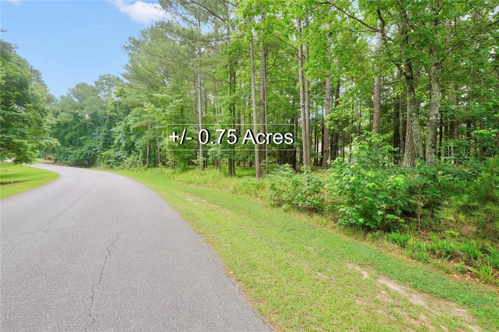 1060 Fairway Ridge Road Greensboro, GA 30642 - Photo 7 of 13