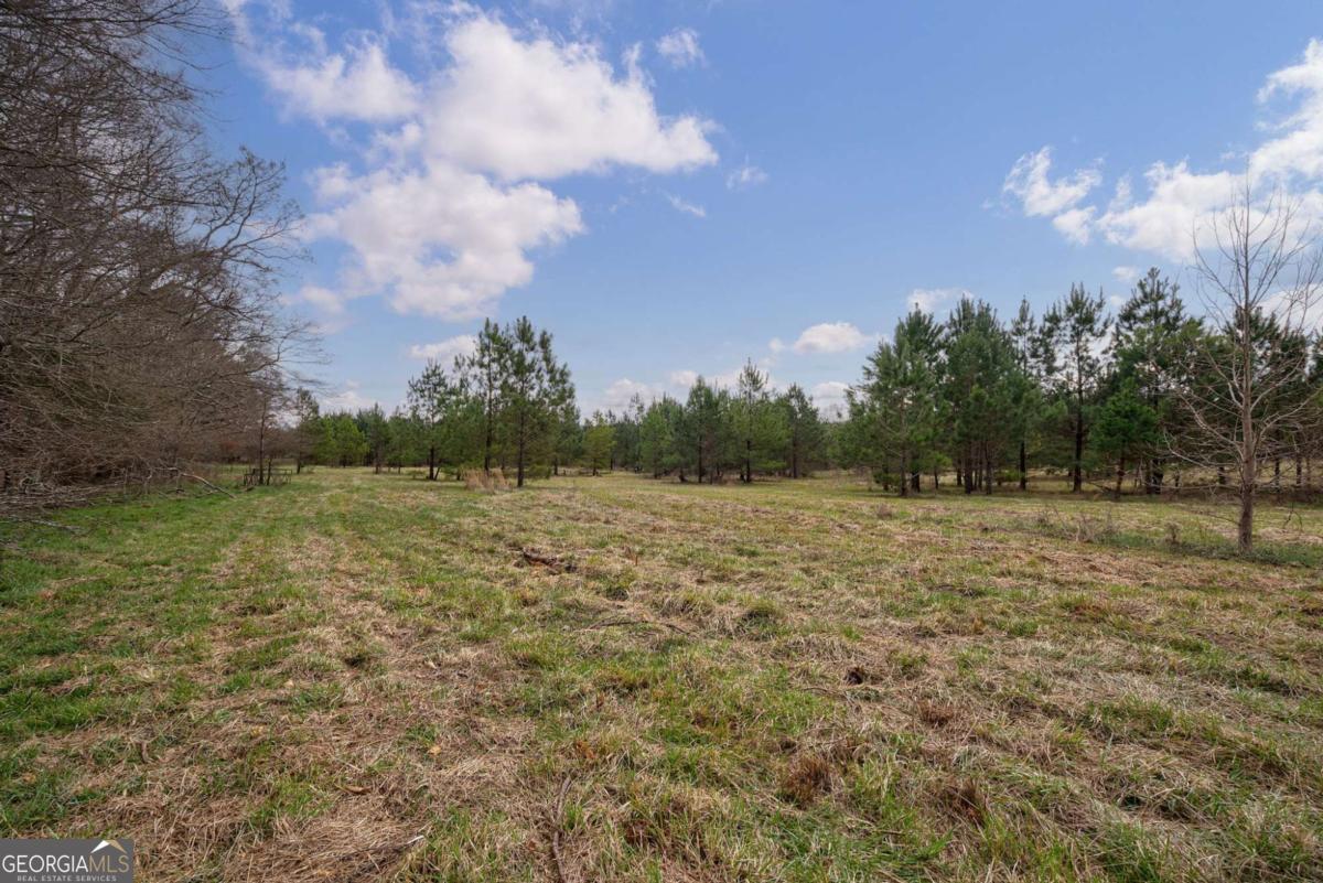 Tract 1 A High Shoals Road Bishop, GA 30621 - Photo 11 of 25 a view of a field with an trees