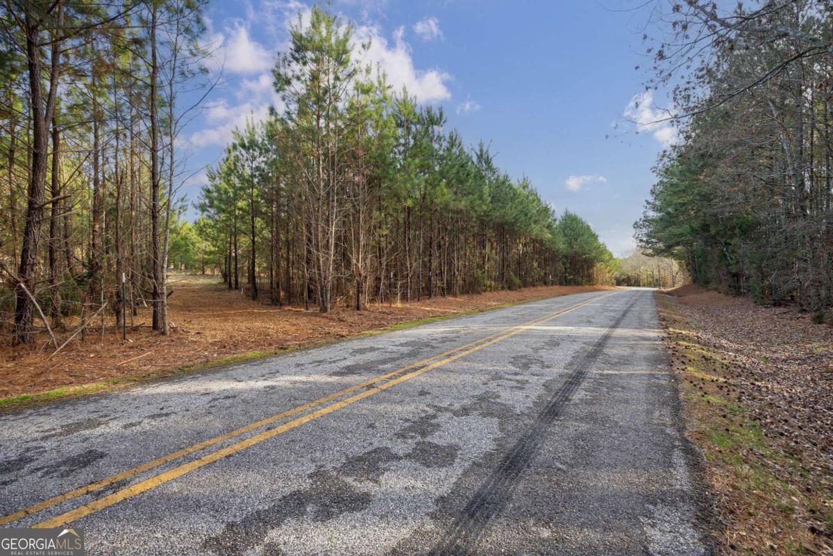 Tract 1 A High Shoals Road Bishop, GA 30621 - Photo 15 of 25 a view of backyard space